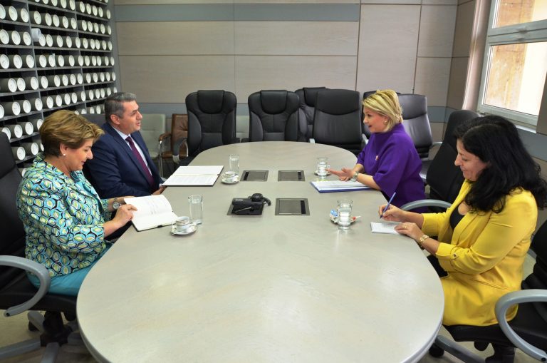 Müsteşar Grigore Ermenistan Büyükelçisi ile görüştü