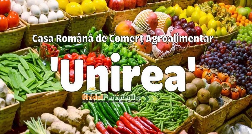 Bu da romen tanzim satış mağazası sayfa 7