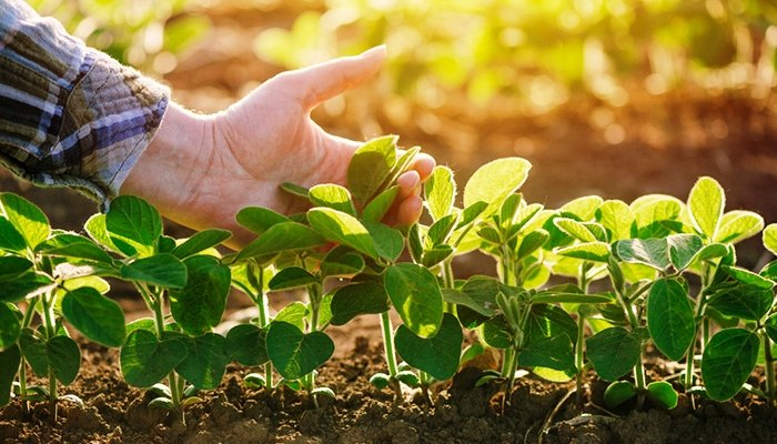 AP kararı: Çiftçilere yapılan destek sınırlandırılmayacak