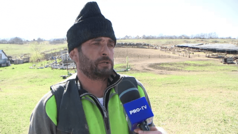 Yabancı çoban aranıyor