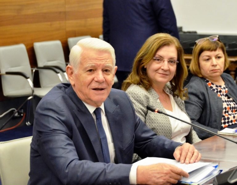 Bakan Meleşcanu, Arap ve Müslüman ülke misyon şefleri ile görüştü