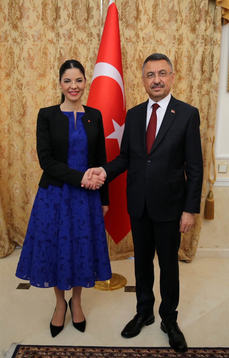 Oktay, Romanya Başbakan Yardımcısı ile görüştü