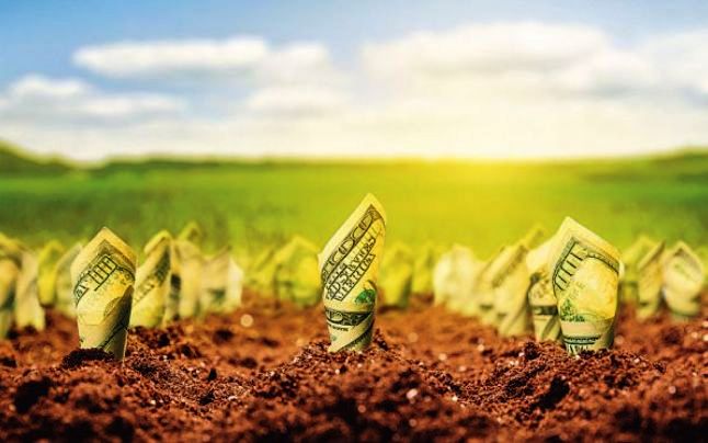 Romanya’daki tarım desteğinin en büyük faydalanıcısı Araplar