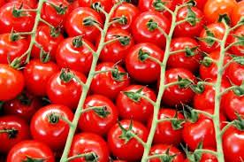 Romanya’ya domates satışımız azaldı