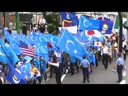 Çin’in vahşetine Japonya’da ‘Gökbayrak’lı protesto