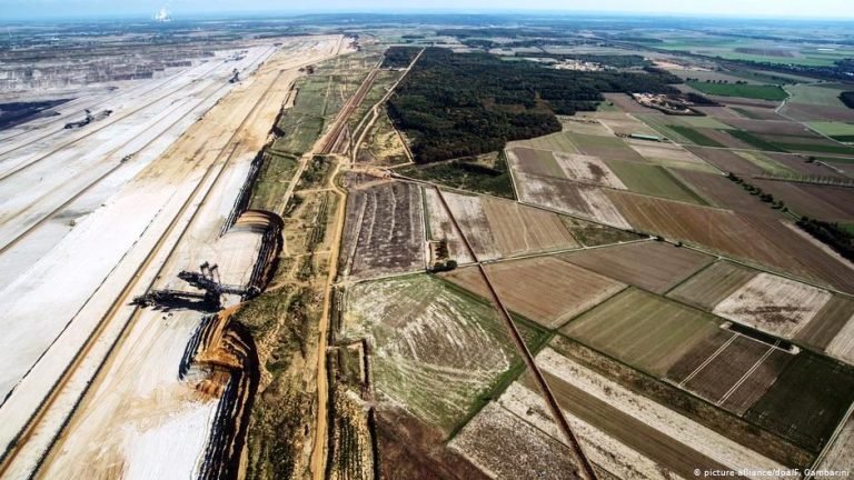 Almanya’da ağaç olmak