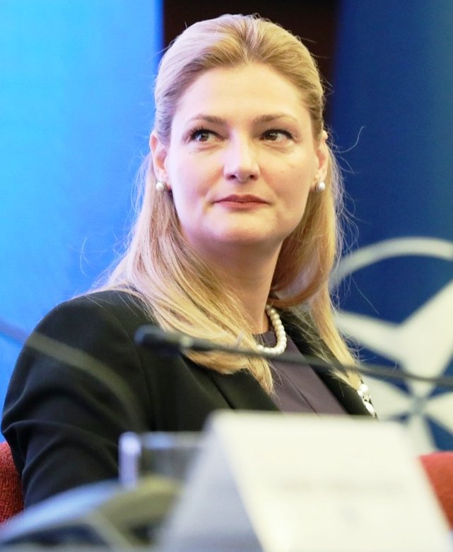 ‘Romanya, AB ve NATO içinde daha güçlü bir sese sahip olmalı’