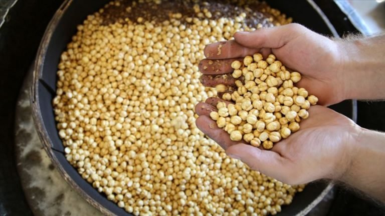 Kendir çuvalda tatlanan leblebi ihracatın gözdesi