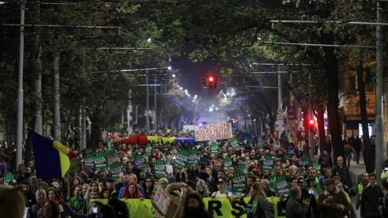 Yasa dışı ağaç kesimini protesto
