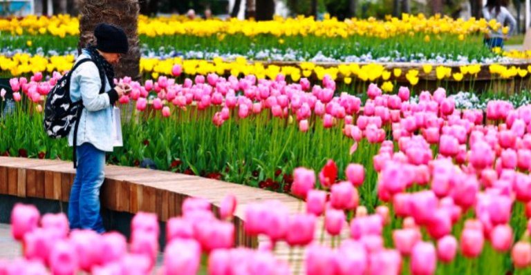 Çiçekçilerde ‘Sevgililer Günü’ heyecanı