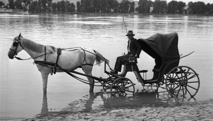 Tuna Dalgalarında Kültürler arası çeşitlilik