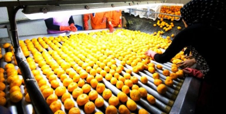 Ege ihracatçıları atağa geçti