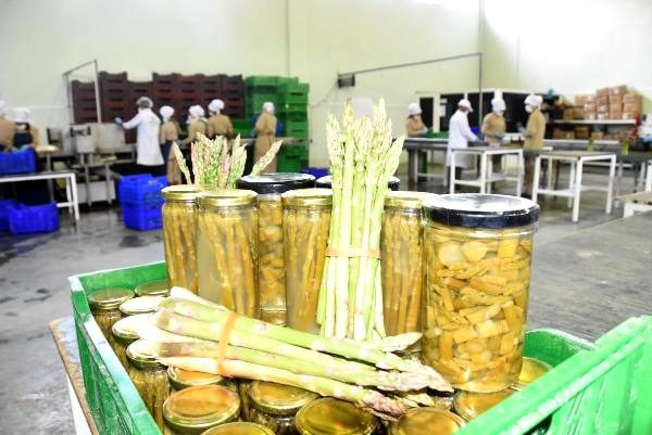 AB, 450 bin ton kuşkonmaz tüketiyor