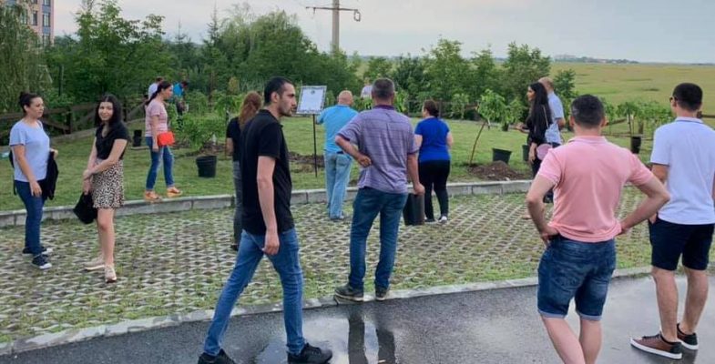Regina ana parkıan 33 fidan dikildi sayfa 2-1