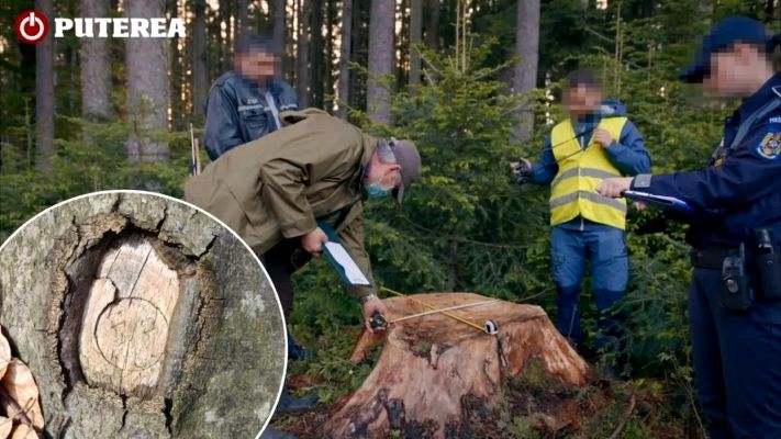 500 bin euroluk orman vurgunu iddiası: “Ceza” yerine tayin