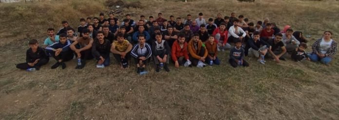 64 ormanlık alan sayfa 2