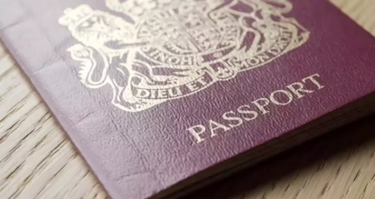 AB ülkeleri 2021 yılında 800 binden fazla yeni vatandaşlık verdi