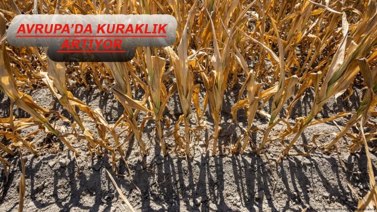 AB topraklarının yarısı kuraklık riski altında