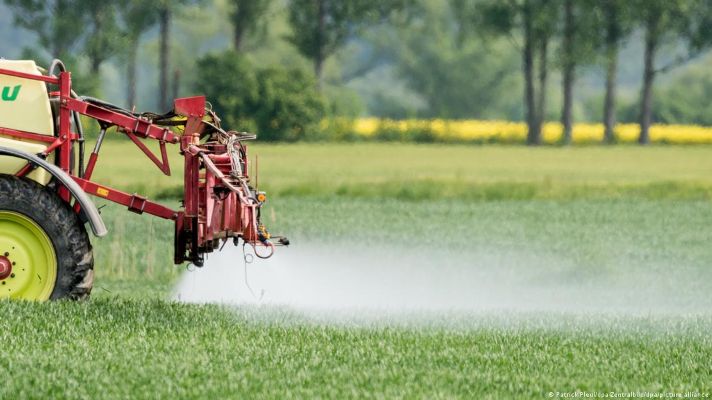 AB ülkelerindeki tahıllarda “sonsuz kimyasallar” bulundu