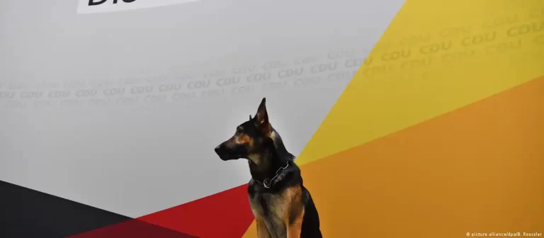 Alman Meclisi’ndeki Köpek Grubu’nun mücadelesi