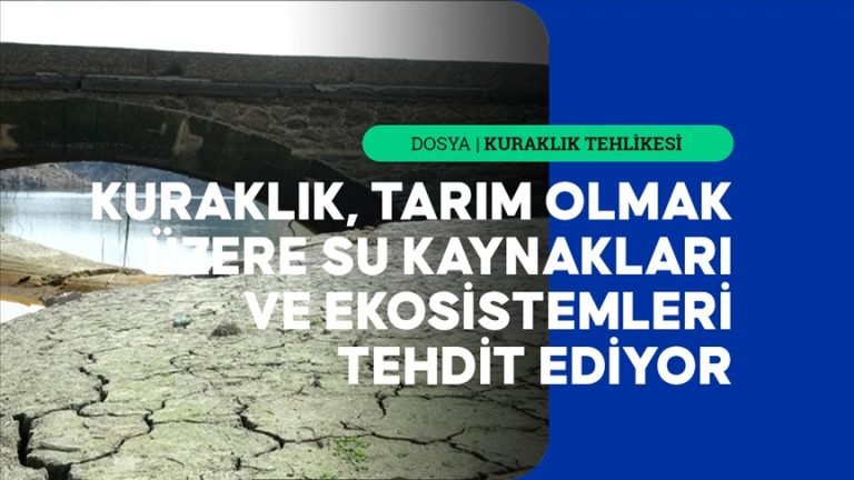 Avrupa’da derinleşen kuraklık birçok sektörü tehdit ediyor