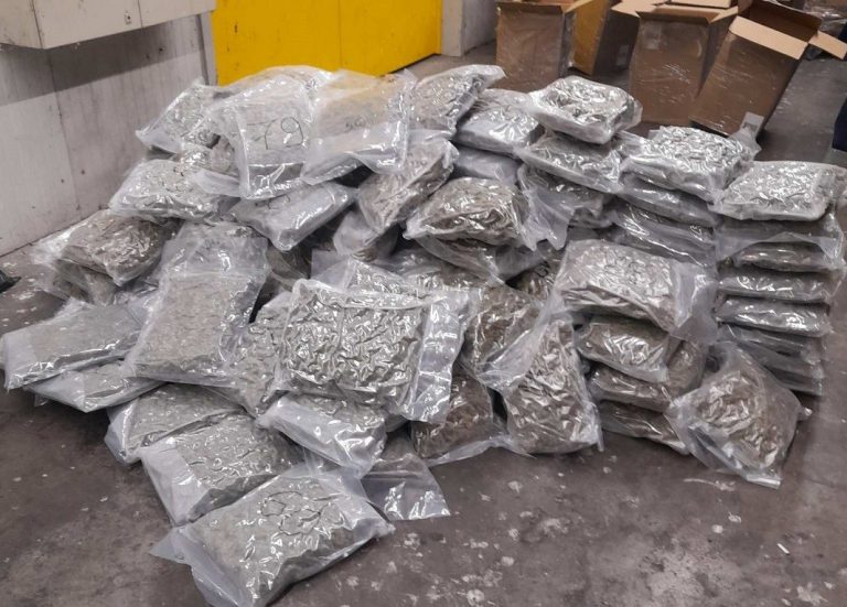 Bulgaristan- Türkiye sınırında 145 kilogram uyuşturucu ele geçirildi