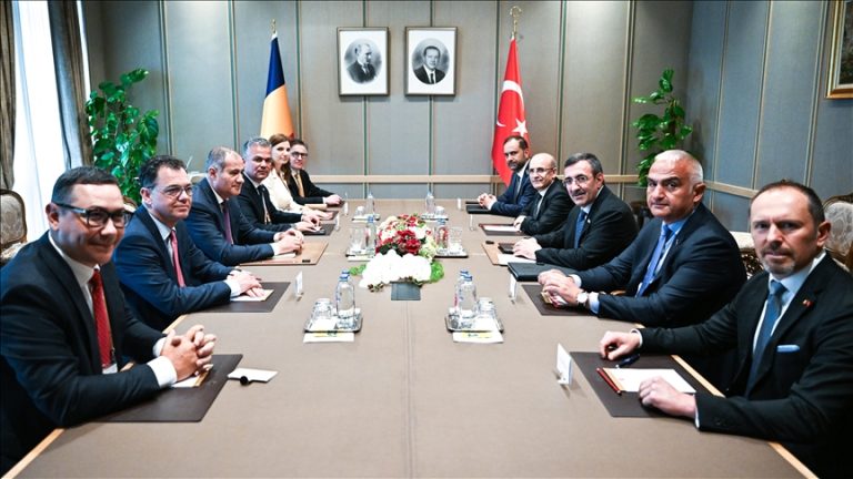 Cumhurbaşkanı Yardımcısı Yılmaz, Neacşu ile görüştü
