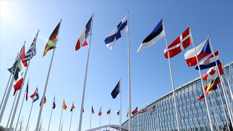 ECFR: Avrupa Parlamentosunda AB karşıtı partiler güçlenecek