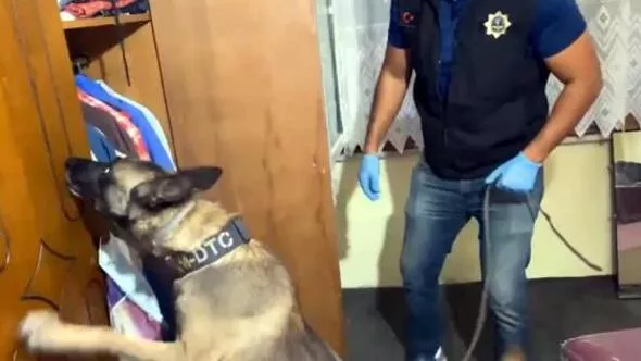 Edirne’de uyuşturucu tutuklamaları