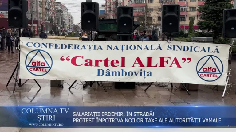 Erdemir Romanya’ya destek eylemi