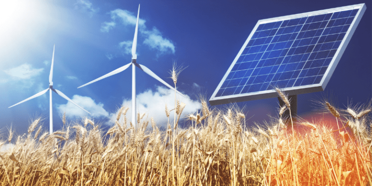 Enerji ve buğday üretiminde büyük düşüş