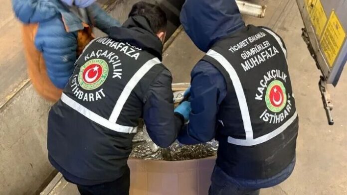 Gümrüklerde sayfa 2