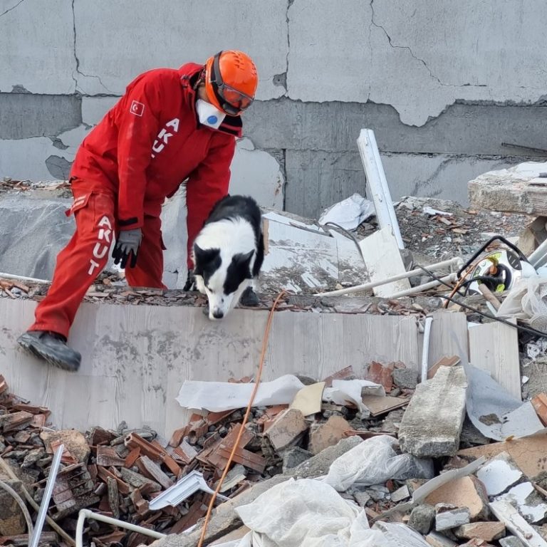 IRO Şampiyonası’nda Romanya’yı bir Türk temsil edecek