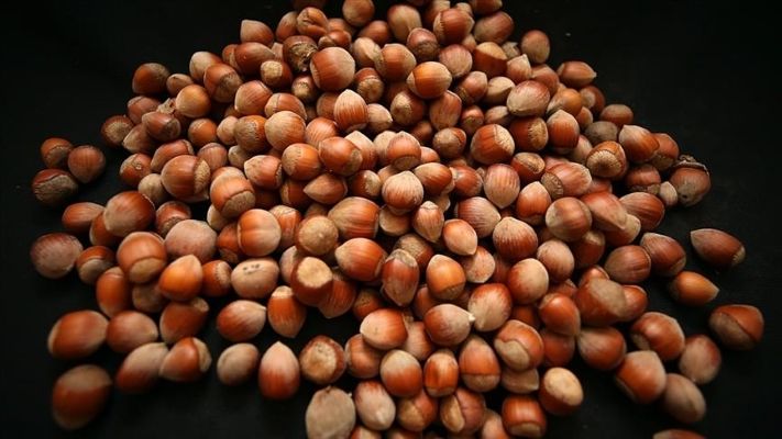 İki ayda 388 milyon dolarlık fındık ihraç ettik