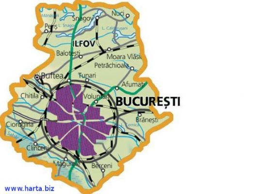 Ilfov’daki firmalarımız toplamda 656 milyon Euro ciro yaptı