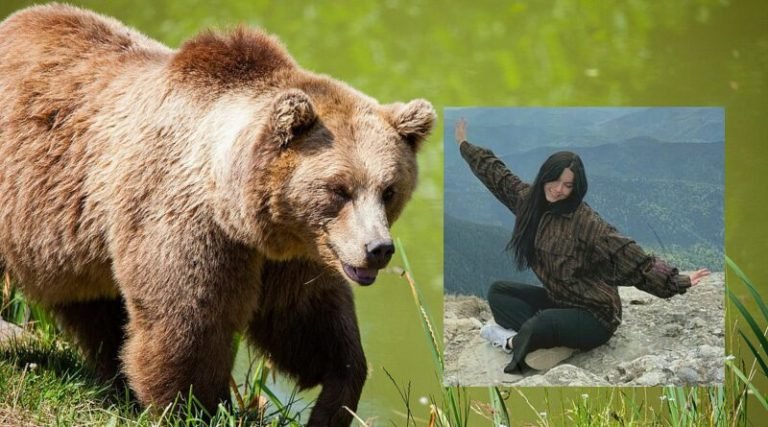 Kahverengi ayıların itlafı artırılacak