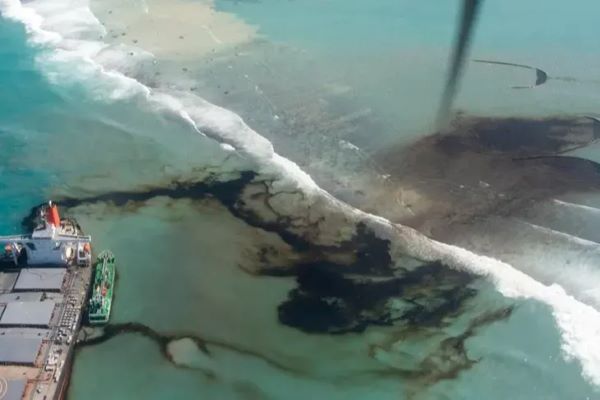 Karadeniz’deki çevre felaketine karşı ortak adım