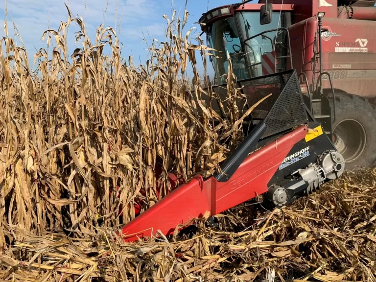 Kuraklık Romanya’yı zora soktu