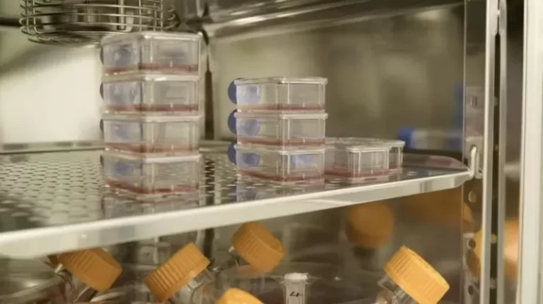 Laboratuvar üretimi olan kan ilk kez insana nakledildi