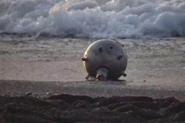 Mayın temizleme anlaşması gelecek hafta imzalanacak