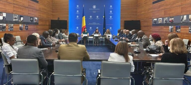 Romanya’dan Afrikalı iletişimcilere dezenformasyon eğitimi