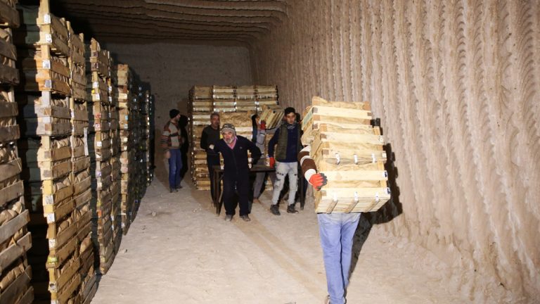 Romanya’ya Türk limonu Kapadokya’daki kayadan oyma depolardan geliyor