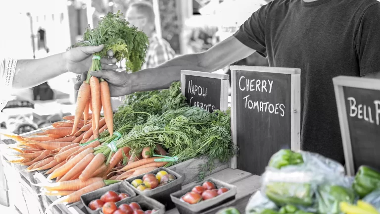 Sayıştay: ‘Avrupa Birliği’nin organik tarıma desteği yetersiz’