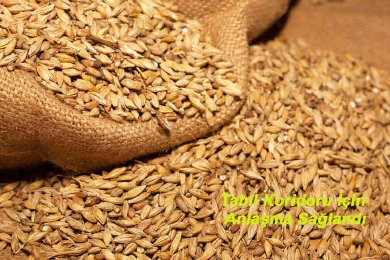 Tahıl krizinde son durum