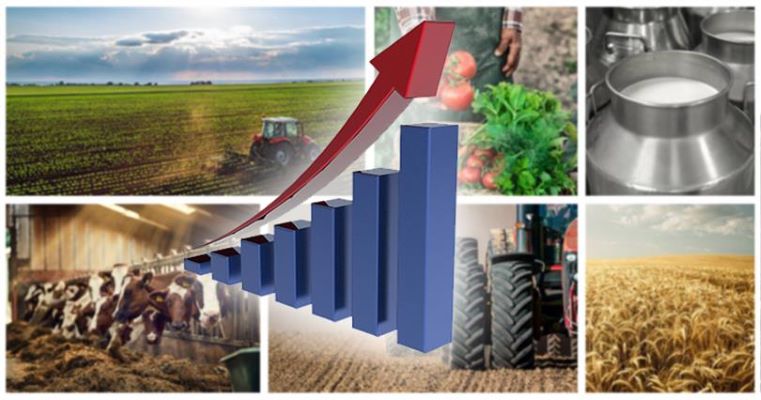 Tarım sektörünün kârlılığı artıyor