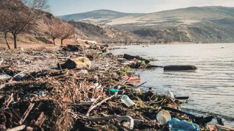 Tuna Nehri’nin Romanya kıyılarının plastik ve mikroplastiklerle kirlenmesi endişe verici