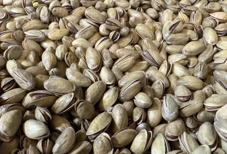 Türkiye, 96 ülkeye fıstık ihracatından 151 milyon 568 bin dolar gelir elde etti