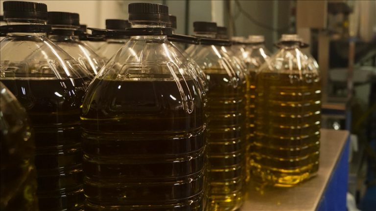 Türkiye, zeytinyağı ihracatını 3 ay süre ile yasakladı