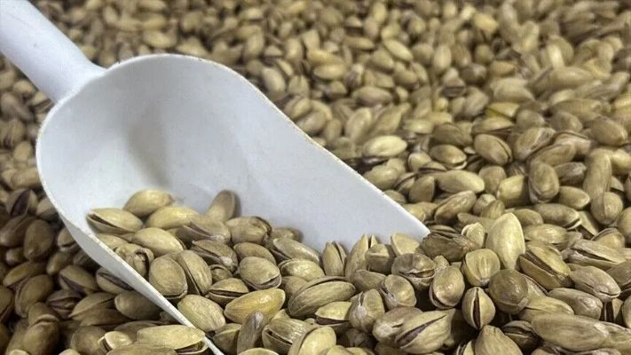 Türkiye’nin fıstık ihracatı ilk yarıda 60,8 milyon dolara ulaştı