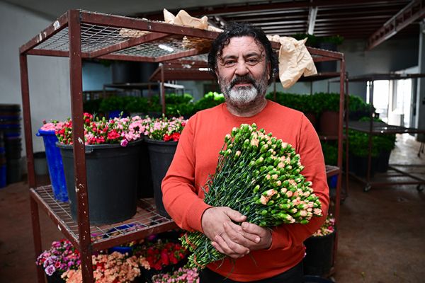 Türkiye’den 2025’te 83 ülkeye çiçek ihracatı yapıldı